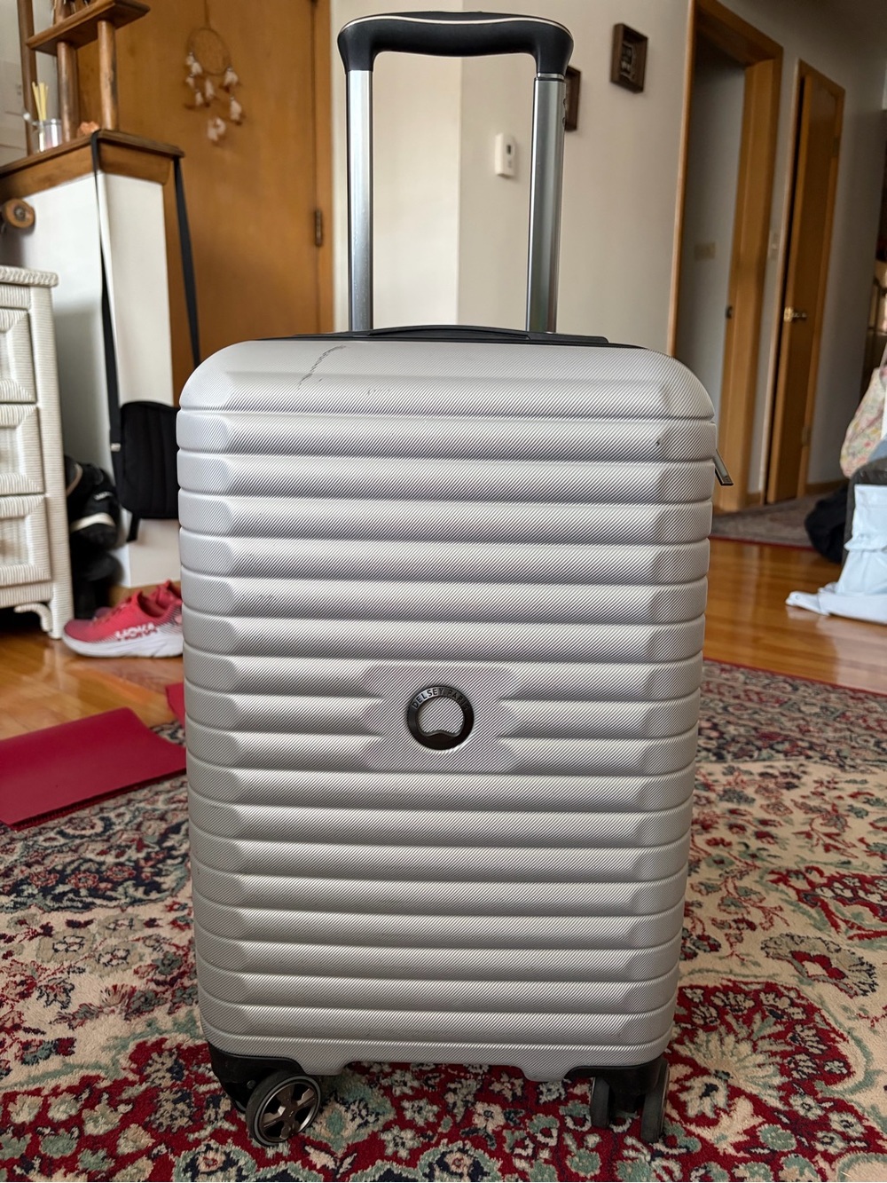 Delsey Paris 20” Carry-On Hardside Spinner Luggage – Silver/Gray
